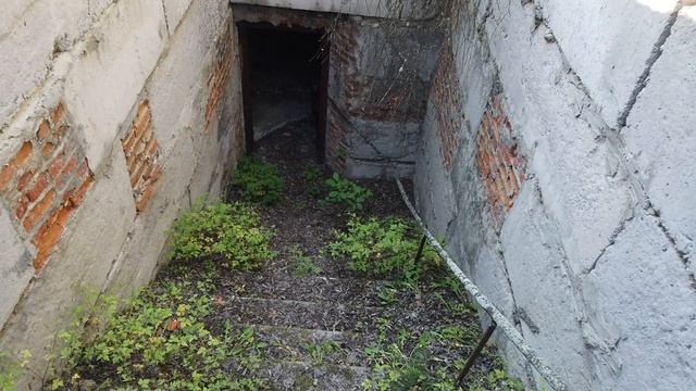 Медовый поход в Припять, сталк со Стасом и Викой Полесскими в Чернобыль часть 1