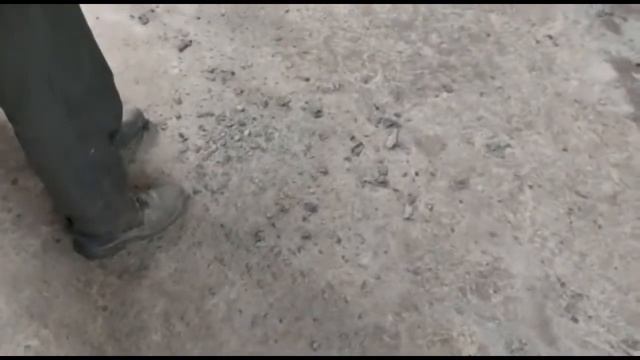 Состояние днища Хонда Цивик 2008 г. удивило смотреть онлайн