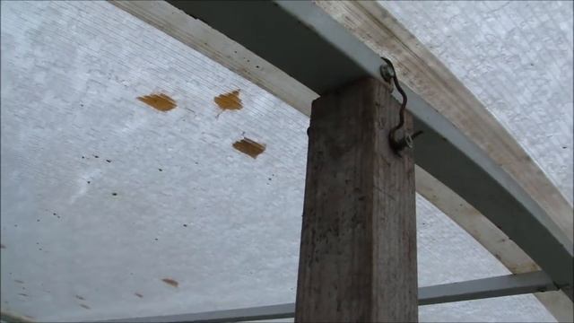 ЗЕЛЁНЫЙ ЛУК В НОЯБРЕ И КАК УКРЕПЛЯЮ ТЕПЛИЦУ смотреть онлайн