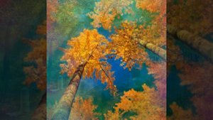 Георгий Иванов.Я не любим никем, Пустая осень