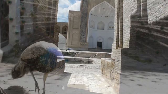 Сны об Узбекистане смотреть онлайн