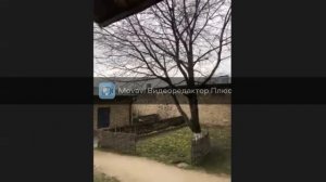 Экскурсия в дом музей М Ю  Лермонтова, Пятигорск