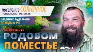 Поселение Солнечное Пензенской обл, доход в РП