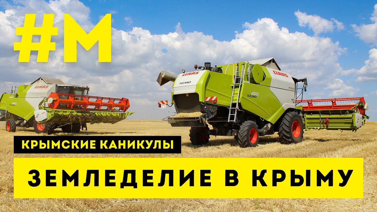 #МОНТЯН: Зона экстремально рискованного земледелия ? #КрымскиеКаникулы #СправжняОкупація