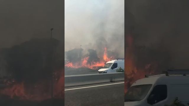 Во Франции тоже экстремальные температуры: жара под +40, влажность воздуха 23% и ветер до 50 км\ч сп