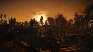 Совместимость мужчина Кот и женщина Обезьяна