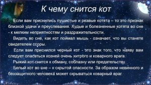 К чему снится Кот – толкование сна по Соннику