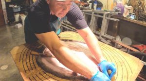 BEAVER: Fleshing, Boarding, Drying | How To Guide