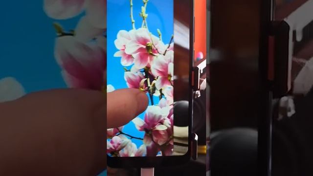 Honor 10 брак дисплея смотреть онлайн