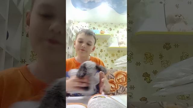 звуко буквенный разбор слова мышь смотреть онлайн