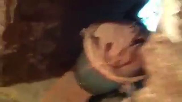 Винтовая лестница колокольни храма смотреть онлайн