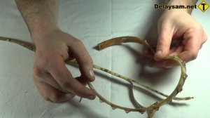 Самая надежная влагозащита для светодиодной ленты
