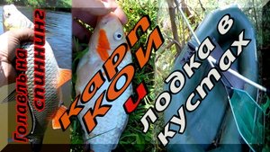 Чего только не бывает на рыбалке. Каждый раз новые сюрпризы. Голавль на спиннинг.