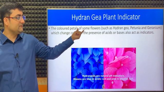 Class 10 | Science | Chemistry Acids Bases And Salts | Hydran Gea Plant Indicator