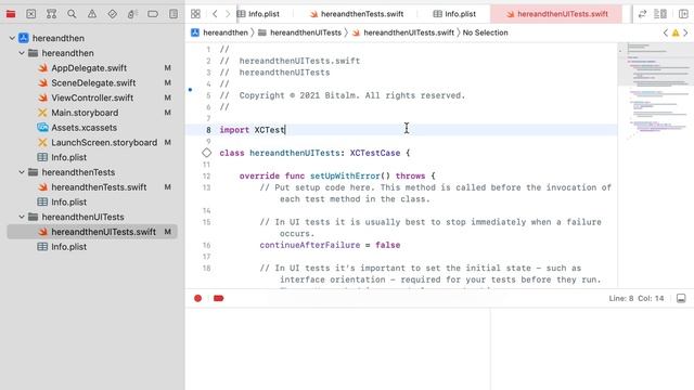 Xcode and iOS App walkthrough смотреть онлайн