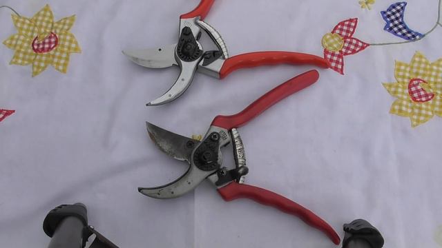 Vivi's Kitchen Garden 252: How to spot fake Felcos (plus potatoes, onions & quiet jobs). смотреть онлайн