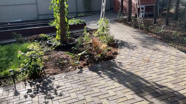 20 октября 2022 г. Окончание дачного сезона. смотреть онлайн