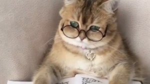 Найти или потерять очки -  значения приметы.