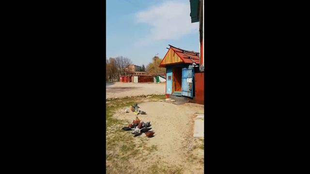 Серпасто-выворотные. г. Кривой рог. Вечерний. 15.03.20 #3 смотреть онлайн