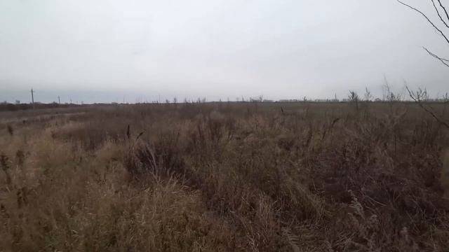 Охота с эстонскими гончими 2023 #ростовскаяобласть