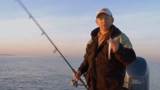 Rigging and Fishing a YUM Houdini Shad смотреть онлайн