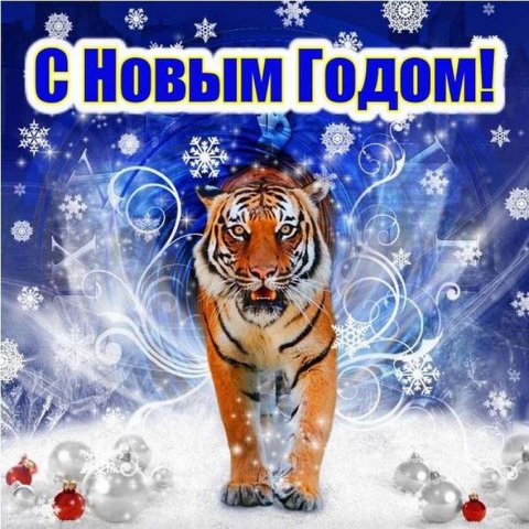 #Евгений#иНаталияКамневы #поздравление#сновым2022годом