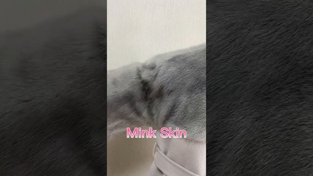 Women Coat Real Mink Fur Sleeves With Belt and Pockets Wool and Mink Patchwork Coat For Elegant Lad смотреть онлайн