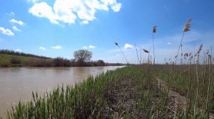 ПОЕЗДКА в СЕЛО ЛЕТНИК / РОСТОВСКАЯ ОБЛАСТЬ / ВЛОГ