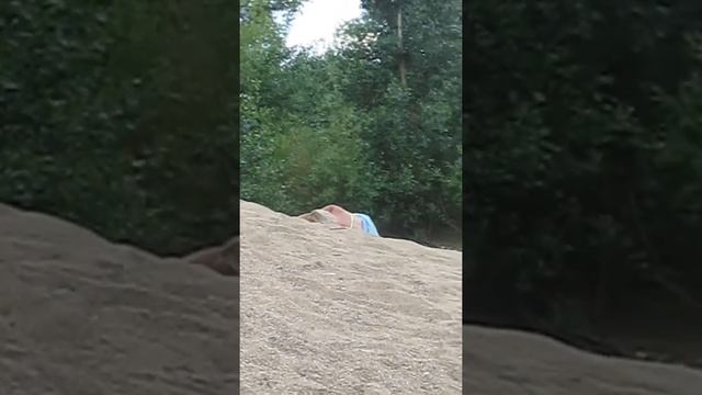 Как погибают улитки... смотреть онлайн