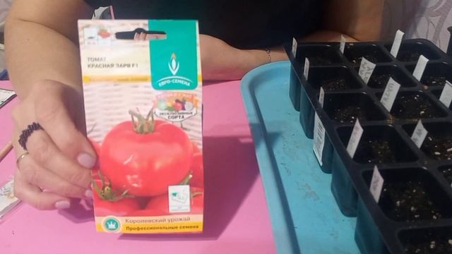 Как быстро и просто посадить томаты. Первые всходы 17.03.2023 смотреть онлайн