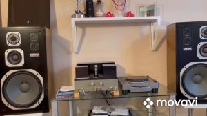 ?Акустические системы Yamaha NS-590 II Обзор II In Audio