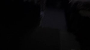 ТРИ ДНЯ В ТАЙГЕ / ОХОТА НА КУНИЦУ КАПКАНАМИ / ЛОВЛЯ НАЛИМА И ЩУКИ НА ЖЕРЛИЦЫ / ИЗБА / БЫТ