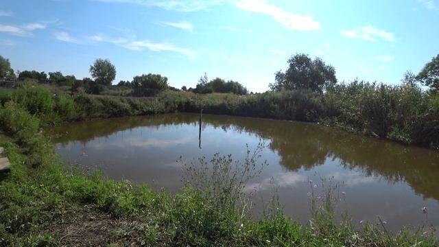 15 минут назад...обзор   поросят  породы Дюрок. Дегельмитезация поросят.ЯШКА и МАШКА вместе. смотреть онлайн