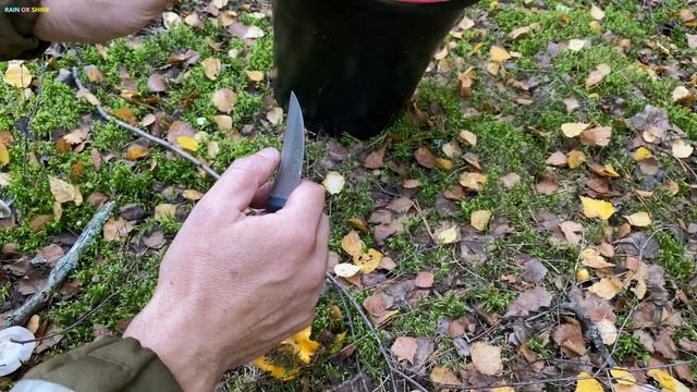 ? БЕЛЫЕ ГРИБЫ НЕ ОТПУСКАЮТ! Гигантские боровики! ПОДОСИНОВИКИ ВЕДРАМИ! Mushrooms! Timelapse! ASMR! смотреть онлайн