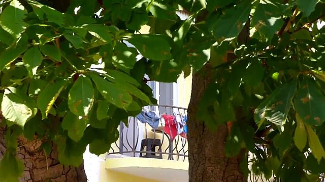 АНАПА ? ул. КАТИ СОЛОВЬЯНОВОЙ, утро, люди спешат на пляж. Зарисовка // 17 июля 2018 года смотреть онлайн