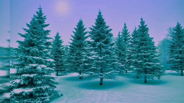 Ель-все то, о чем вы возможно незнали. смотреть онлайн