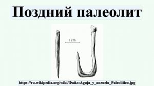 Поздний палеолит