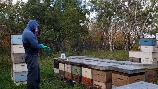 Обробка щавлевою кислотою. Дим пушка. смотреть онлайн