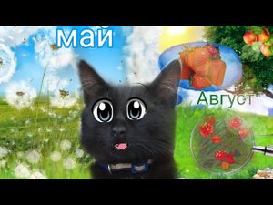 Домашние задание_ Сравнить как изменился огород с мая по август