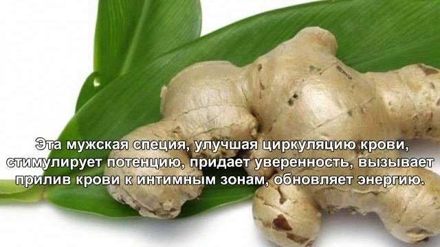Имбирь.  Польза_и_вред_имбиря.