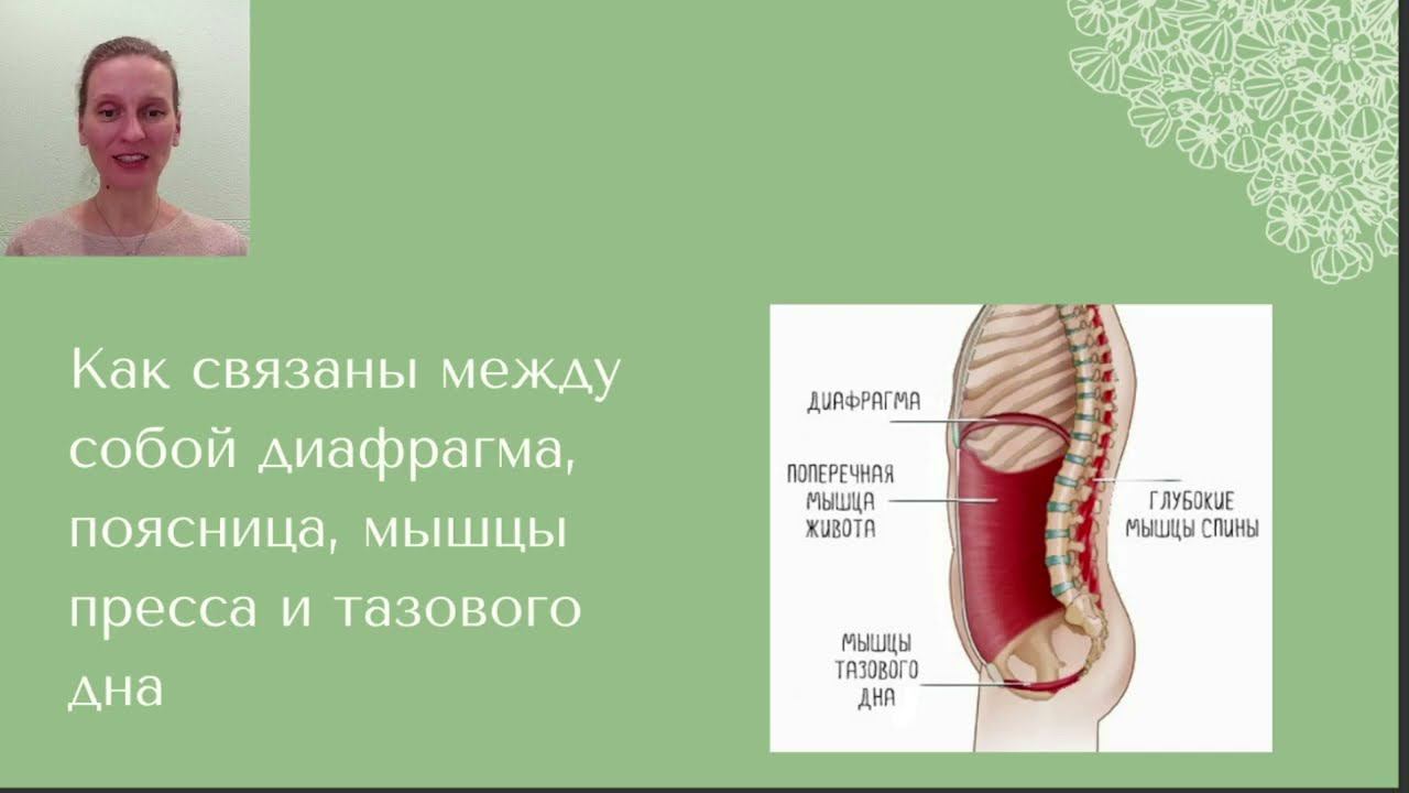 Как боль в пояснице связана со слабыми мышцами тазового дна и живота?