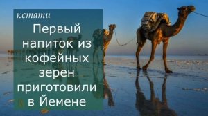 Кофе в турке 1. Эталон вкуса. Эфиопия Йоргачиф. Музыка кофе. История кофе.