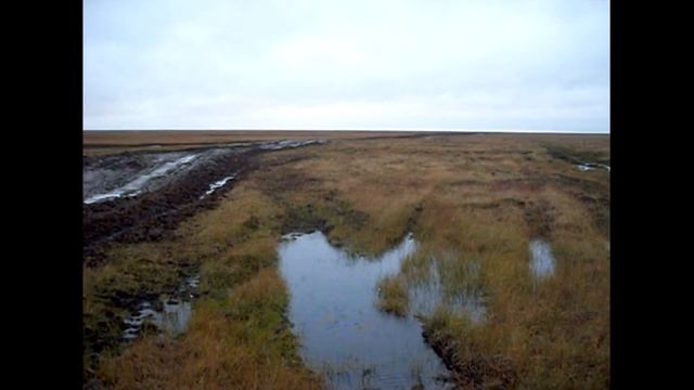 Ямальская земля смотреть онлайн