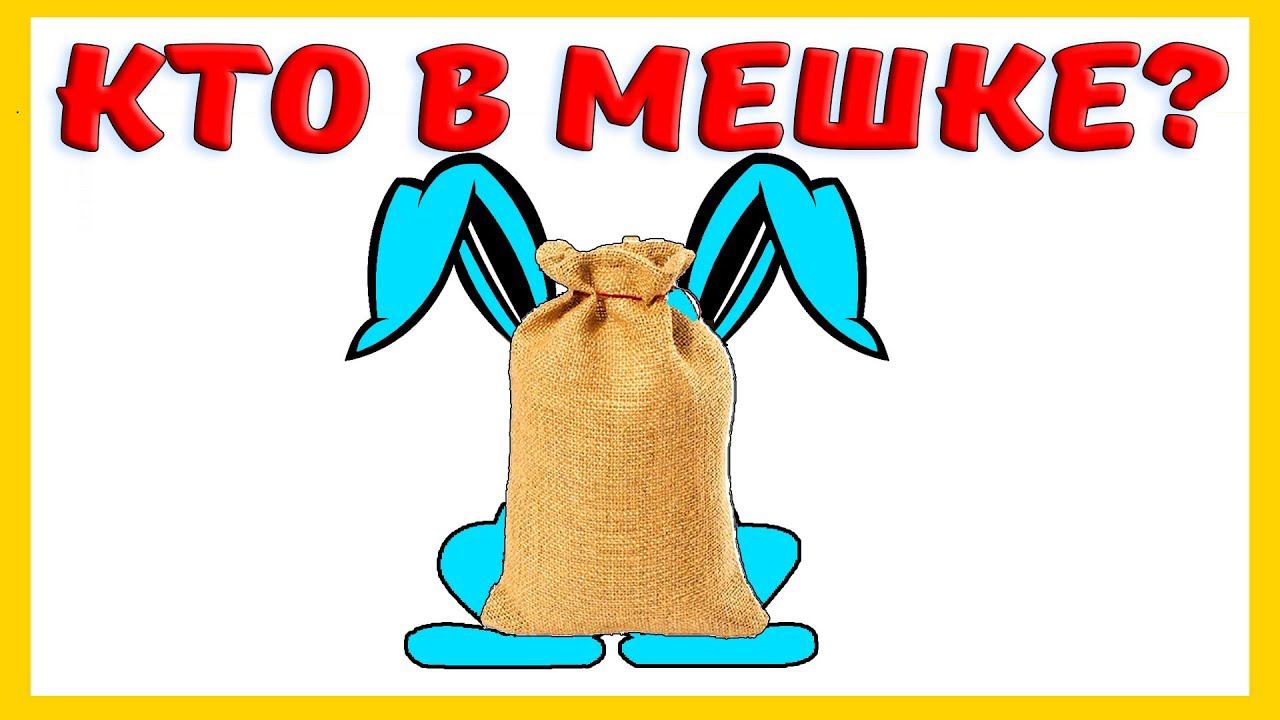 КТО В МЕШКЕ ?