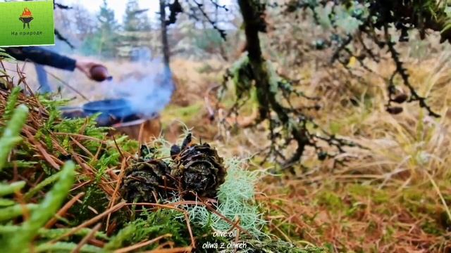 Асмр Приготовление еды на природе! #asmr #природа