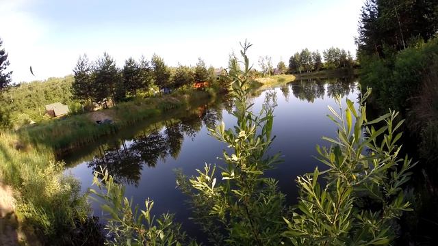 Ловля летней мормышкой на пруду. Карасики,ротанчики.