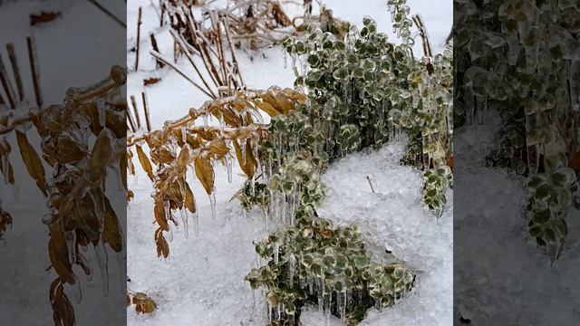 Первый снег смотреть онлайн