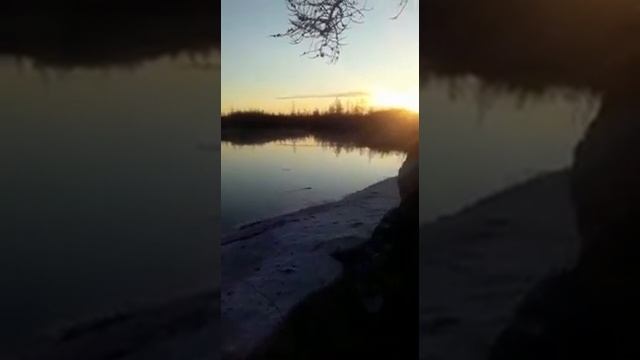Рыбалка.Норильск.29 мая,2020