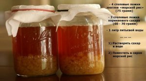 Как приготовить водный кефир (water kefir) ?