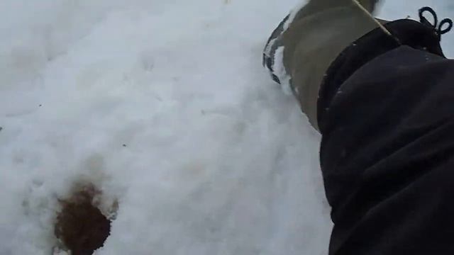 Вся рыба стоит и клюёт у берега Три секрета как наловить на мелководье много рыбы зимой смотреть онлайн